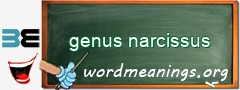 WordMeaning blackboard for genus narcissus